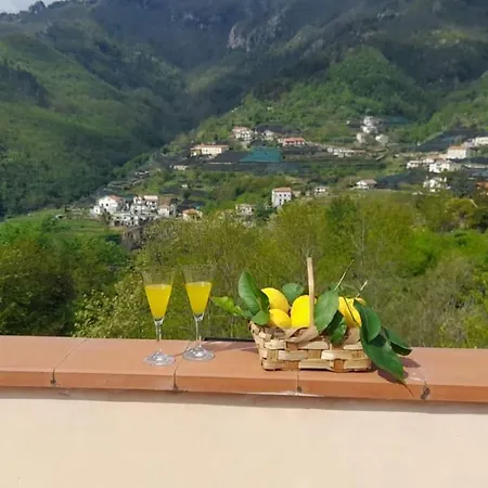 Affittacamere Affitacamere Novella