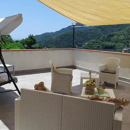 Novella Tramonti