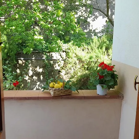 Novella Casa de hóspedes